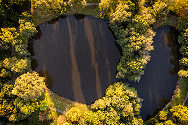 Wasserbau und Wasserwirtschaft